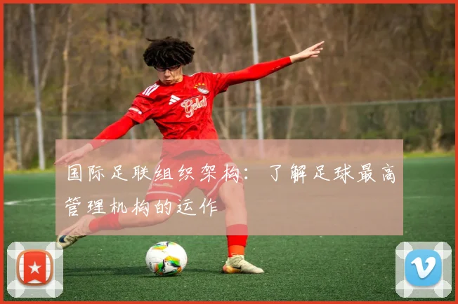 国际足联组织架构:了解足球最高管理机构的运作