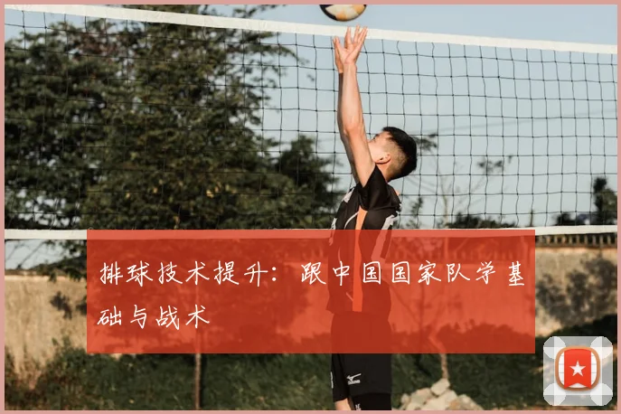 排球技术提升：跟中国国家队学基础与战术